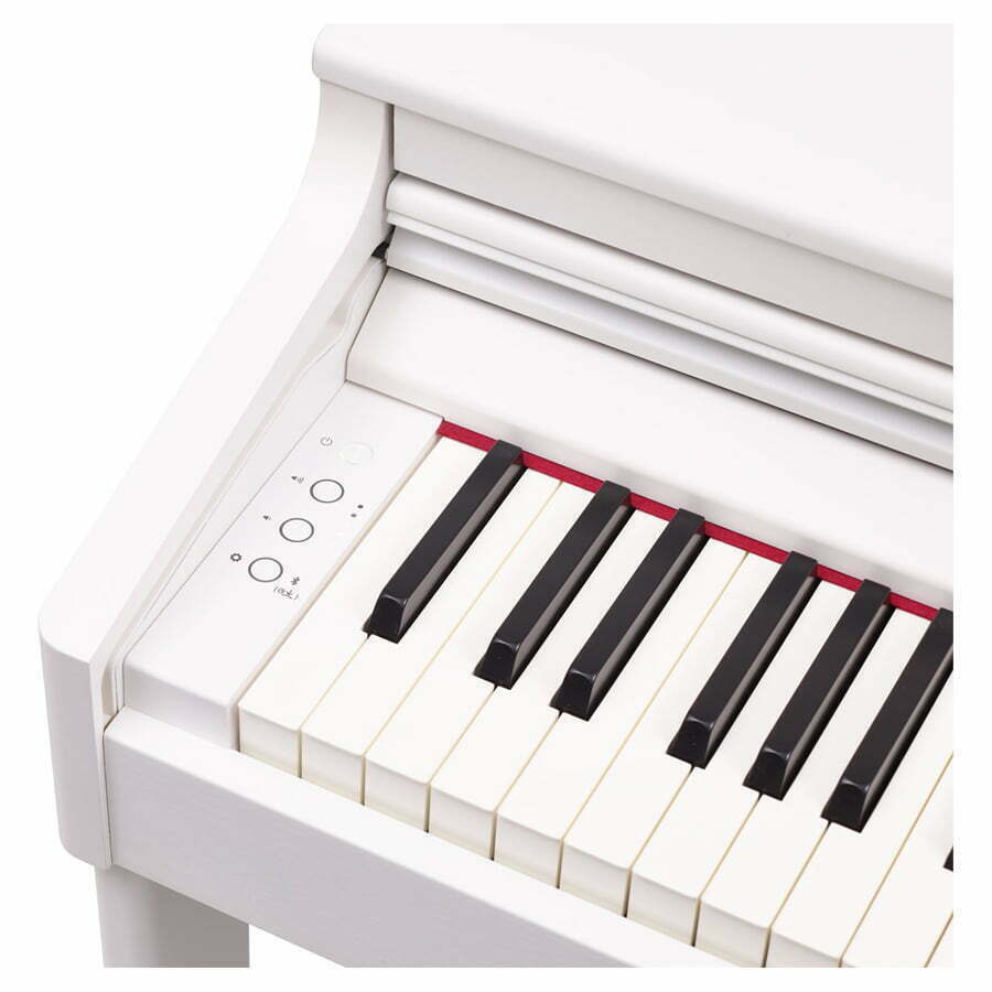 Roland RP701 | Vit - Side panel